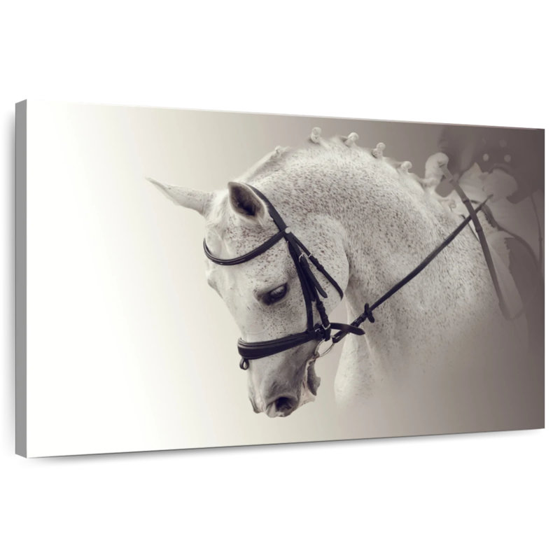 Cheval de dressage blanc, H 20 po x l 30 po