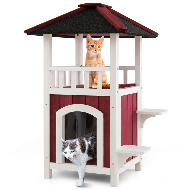Eude 34'' H Cat Tree
