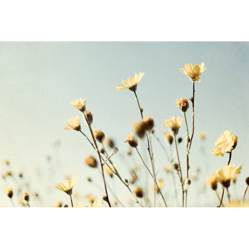 1 Piece Wrapped Canvas Wall Art, 61cm H x 91cm W x 3.81cm D