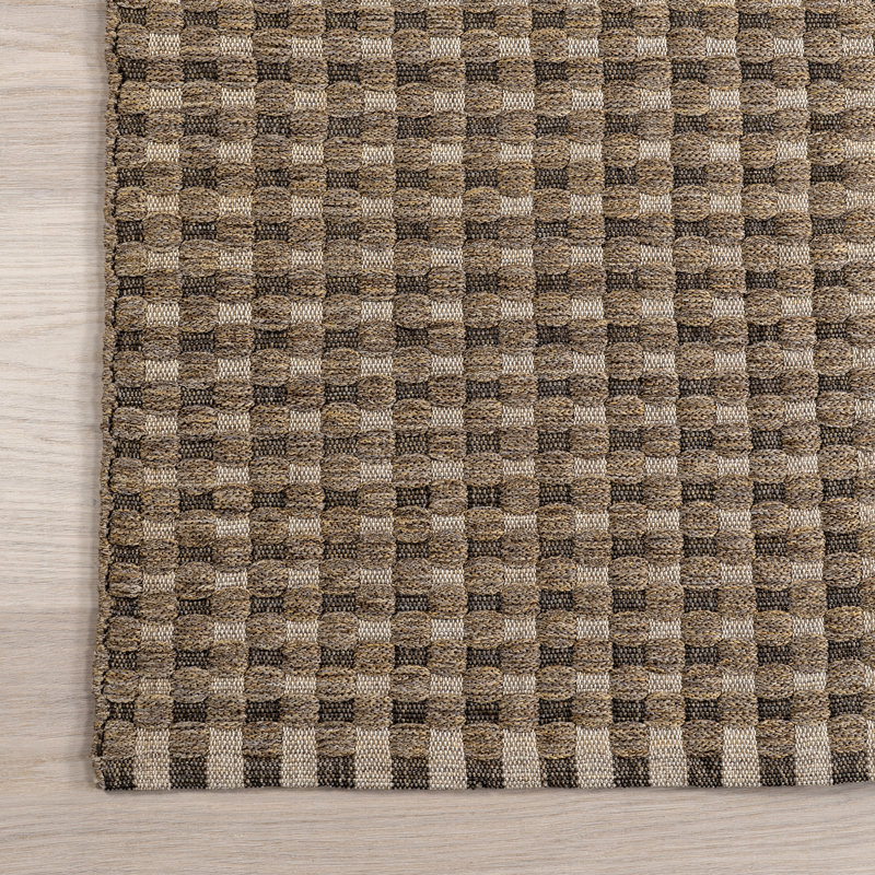 Carnagall Mini Checkered Indoor/Outdoor Area Rug, Rectangle 4' x 6'