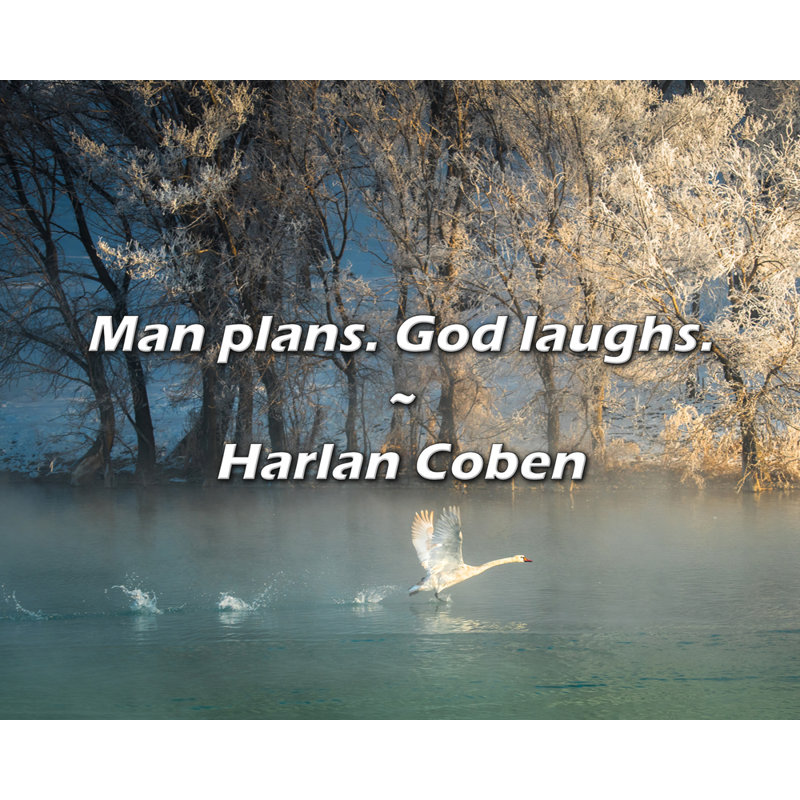 Harlan Coben Citation: Man plans. Dieu rigole.