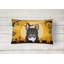  Coussin intérieur / extérieur Halloween