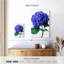 Fleurs d'hortensia bleu Harnek-108439379