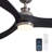 60'' 3 - Blade Large Dimmable Ceiling Fan With LED Light & Remote Control