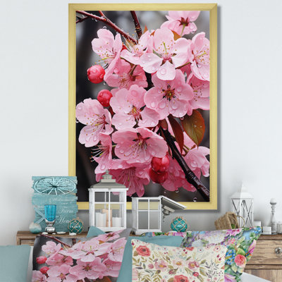Bircotes " Apple Blossom Monochromatic Elegance XVI " Color Photography Print