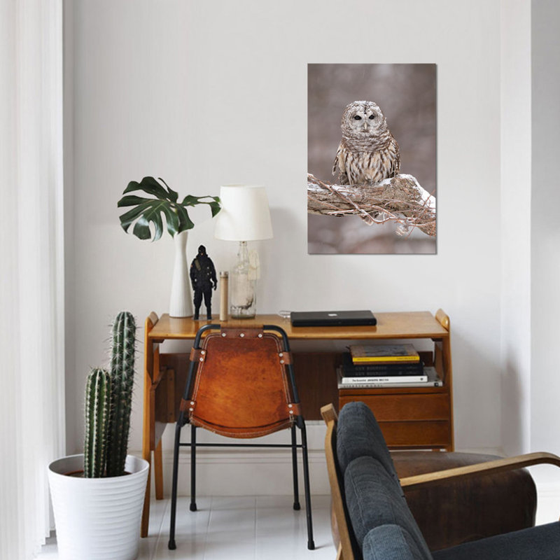 Barred Owl par Steve Gettle - reproduction d'art sur toile tendue, H 12 po x l 8 po x P 0,75 po, Toile tendue, Pas de tapis