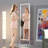 Laniyah Rectangle Floor Mirror