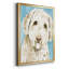 Labradoodle I, reproduction d'art encadrée-263641345-263641374