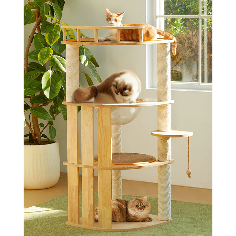 Structure d'escalade simple pour chat