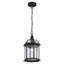 Lanterne suspendue d'extérieur à 1 ampoule H 13,5 po Roscoe-1381454156