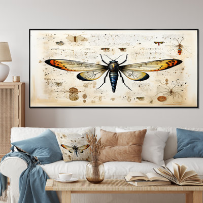 Beige And Yellow Moth Blueprint - Insects & Bugswall Art