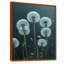 Photo de pissenlit monochrome Heather Hills - art mural pissenlit-785105976-785105996