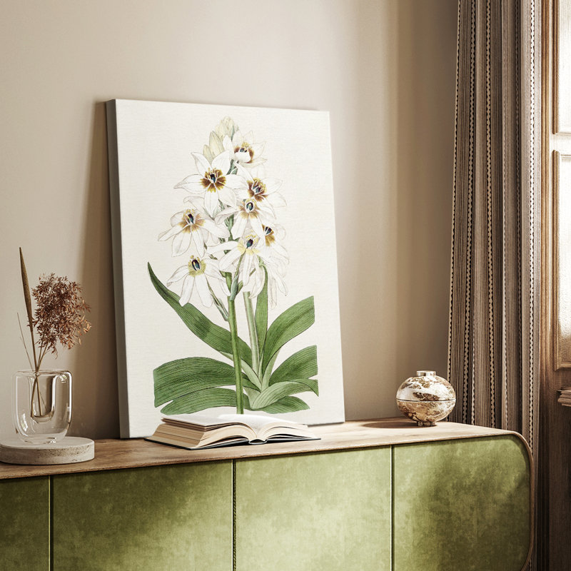 Flore Albo I - Gallery Cavas
