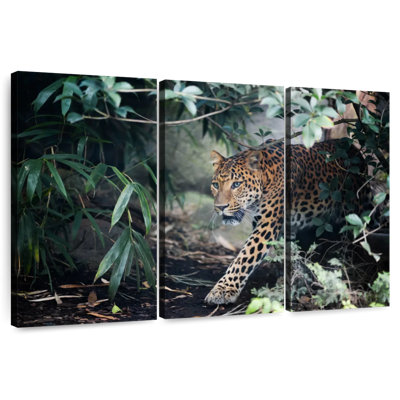 Brampt sournois léopard