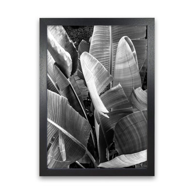 Palms Leafs by Victoria Frost - Print