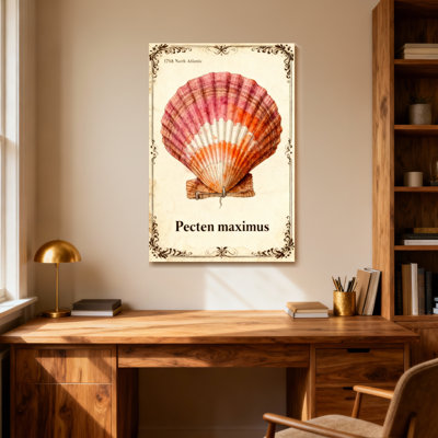Motif de coquillage d'animaux