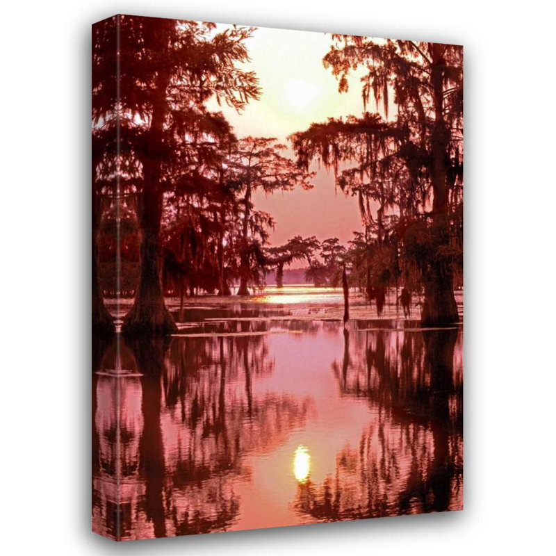 "Millwood Pines", toile tendue par Dave, "Louisiana Sunset on a Atchafalaya Basin bayou", H 48 po x l 33 po