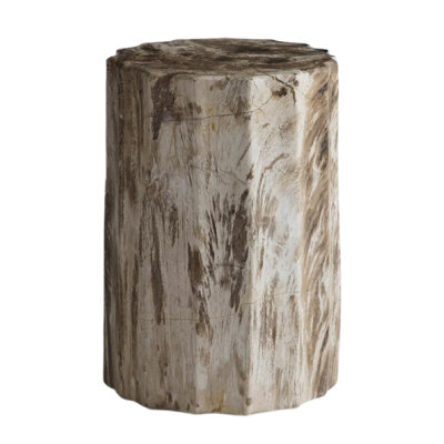 Petrified Solid Wood End Table