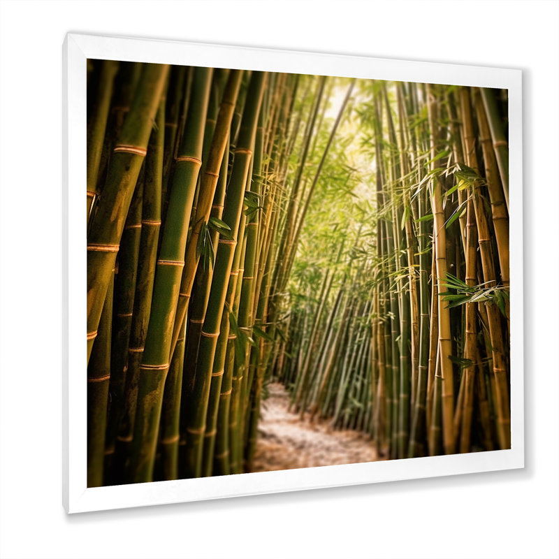 Bamboo Field Landscape - Bamboo Canvas Prints_106658, H 30 po x l 30 po x P 1 po, Cadre simple blanc