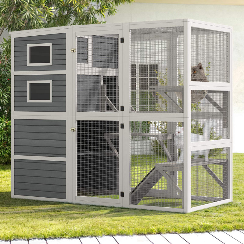 Grand enclos pour chat 4 niveaux Catio