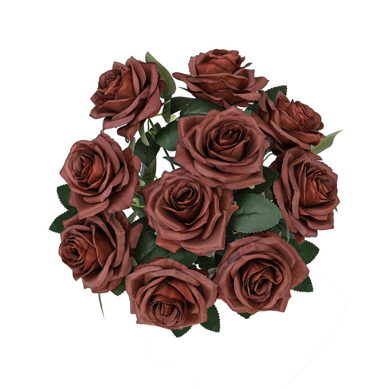 Grand rosier Jaafer Deluxe, Brun