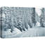 Ski et empreintes de pieds dans la forêt enneigée de Vail, Colorado-102298773-102298769