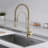 Homary Pull Out Kitchen Faucet