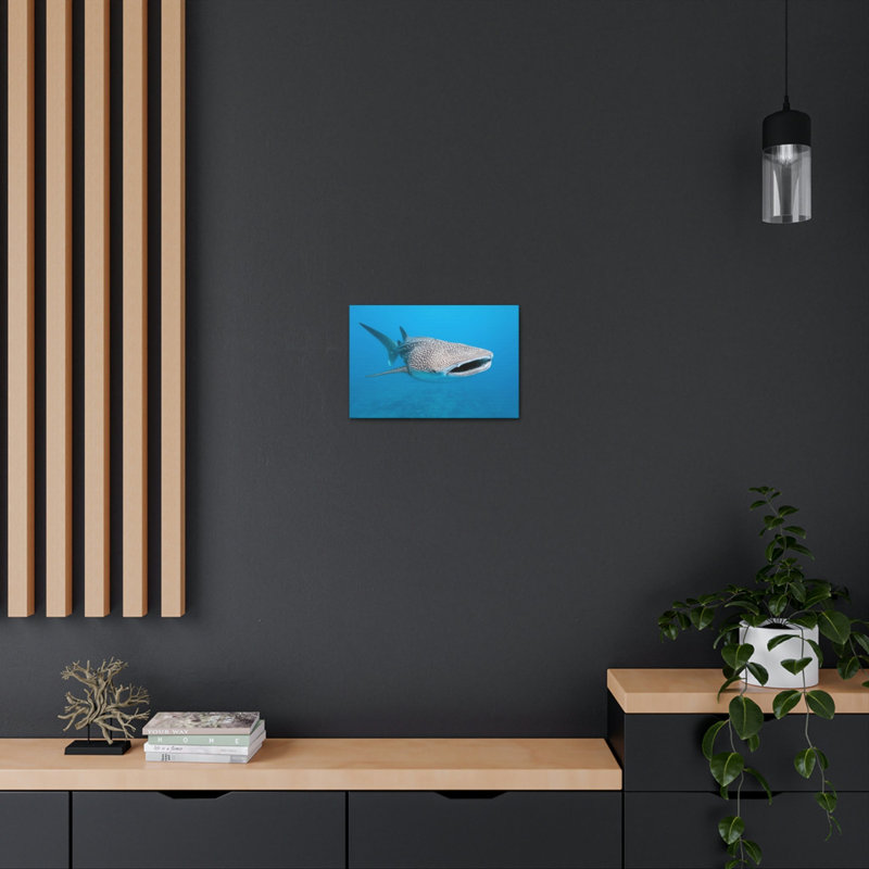 Whale Shark Hunting Whale Shark on Hunt Print Animal Wall Art, 12" H x 18" W