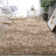 Alaunna Standard Shag Area Rug