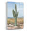«Saguaro Cactus Study 1» par Ethan Harper-1779478163