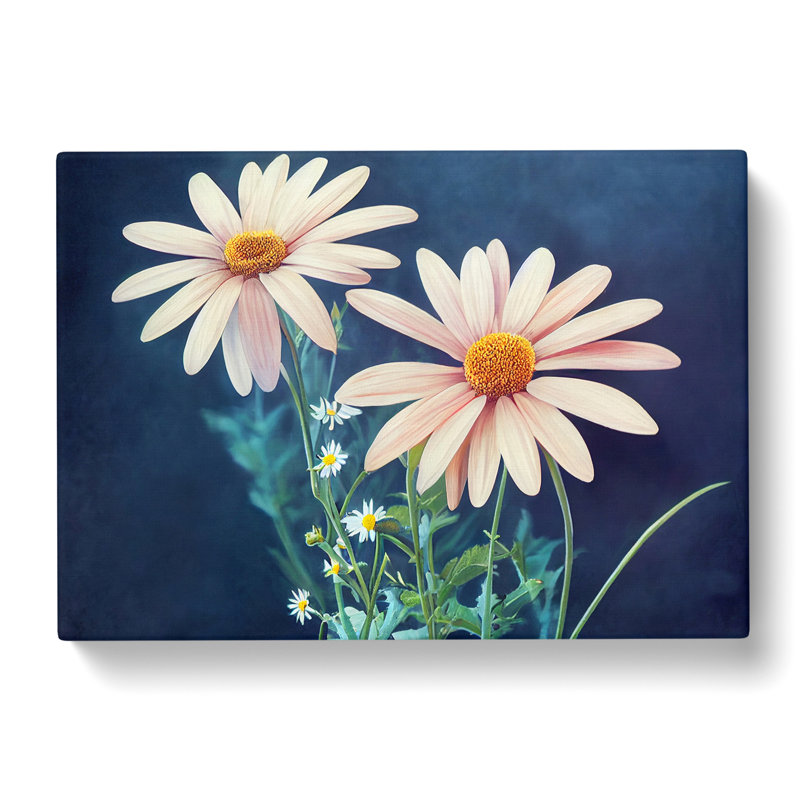 Beaming Daisy Flowers - Wrapped Canvas, 40cm H x 60cm W x 3cm D
