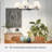 Hunter Celestial Valley 6 Light Chandelier Ceiling Light Fixture-114532204
