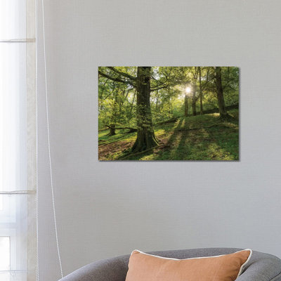 Summer Woodland by Adam Burton - Wrapped Canvas Gallery-Wrapped Canvas Giclée
