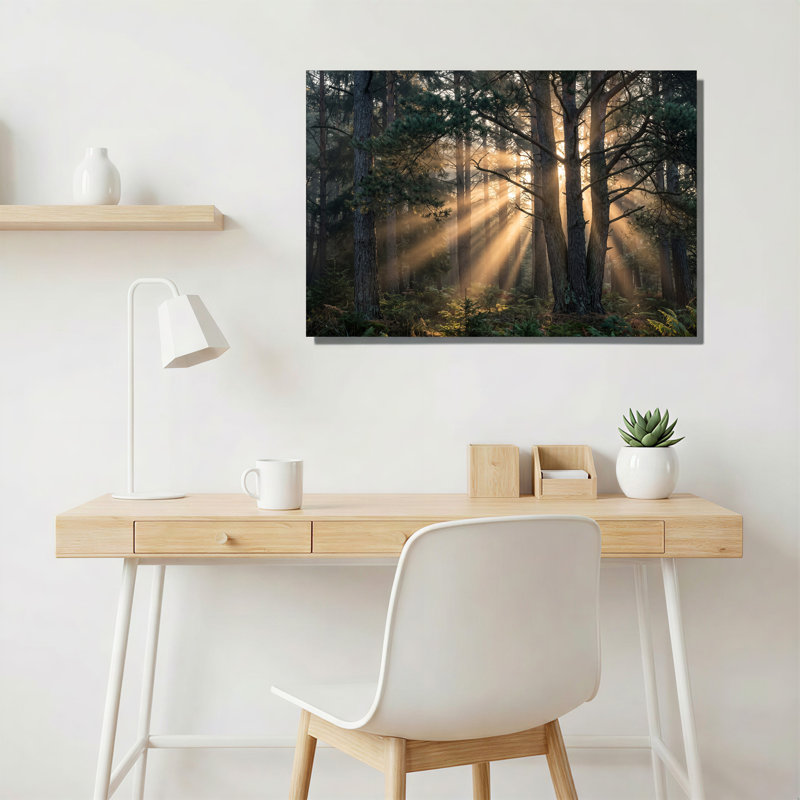 Toile dorée à travers de grands pins dans une forêt verte, art mural sur toile, H 18 po x l 24 po