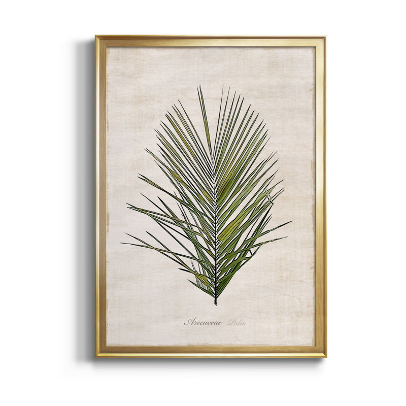Palmier botanique I - impression, H 22,5 po x l 30,5 po x P 1,5 po, Or