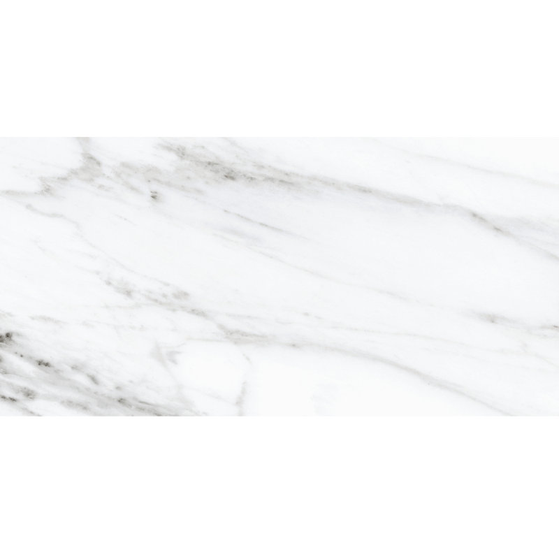 Belus 24" x 48" Marble Look Porcelain Tile