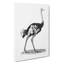 Ostrich In Black And White by George Shaw - Wrapped Canvas Print-55366807