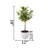 28'' Faux Olive Tree Tree in Pot