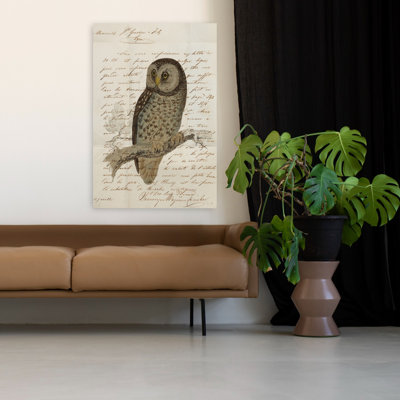 Hibou boréal