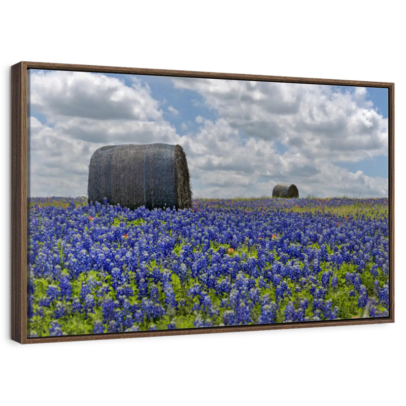 Texas Bluebonnets, 46 po x 31 po, Cadre flottant noyer