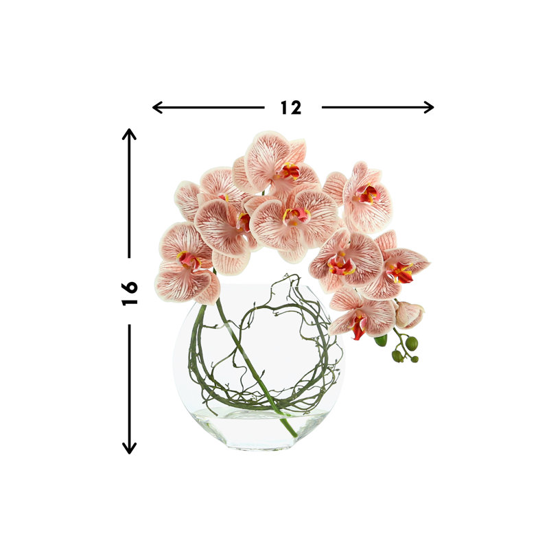 Orchid and Vine Arrangement in Vase