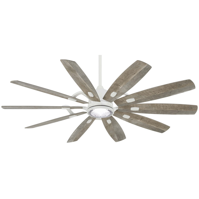 Barn 65'' Ceiling Fan with LED Lights