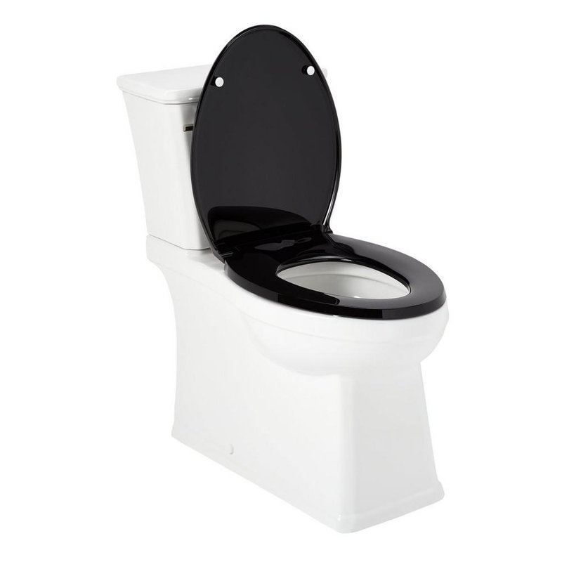 Benbrook 1.28 GPF Two Piece Skirted Elongated Toilet, Black/Brushed Gold