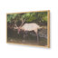 «Cherokee Elk II» par Lori Deiter, reproduction d'art