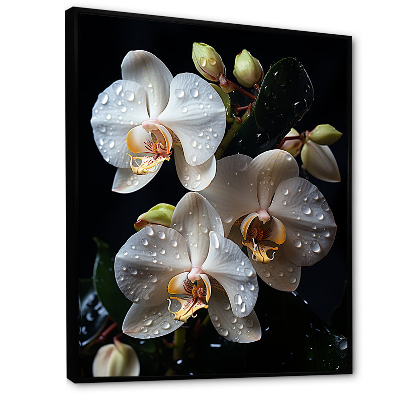 Orchidées blanches pétales d'élégance I, H 40 po x l 30 po x P 1,5 po, Cadre flottant noir