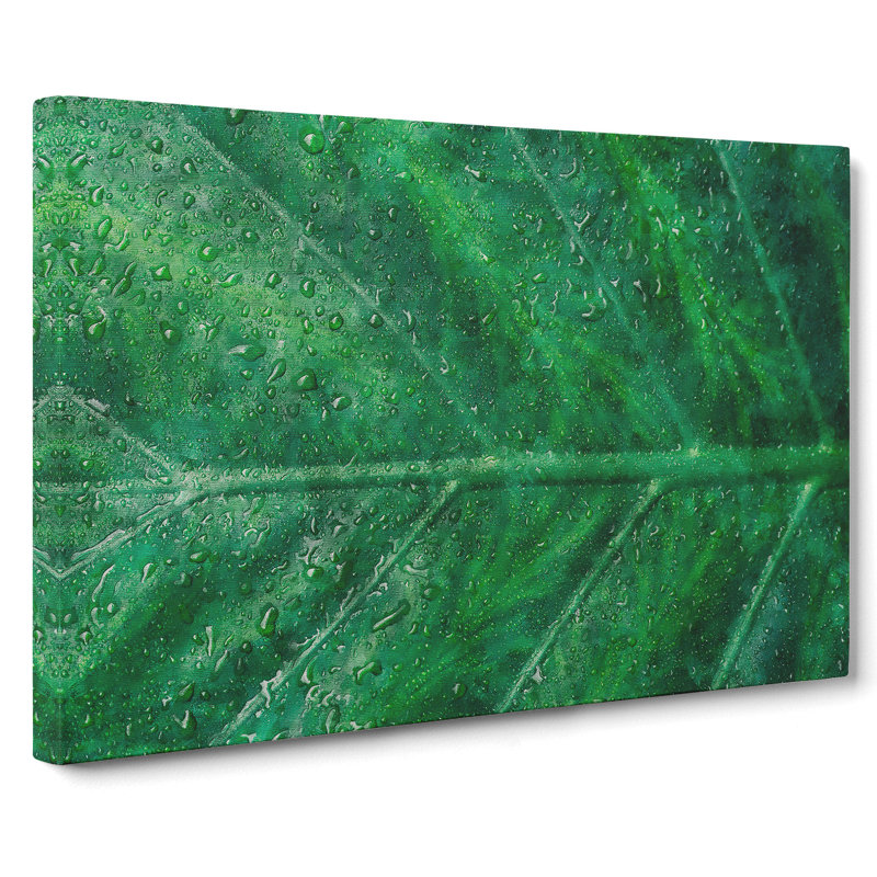 Green Leaf Pattern - Wrapped Canvas Print, 40cm H x 60cm W x 3cm D