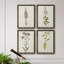 Mauve Garden Flowers I - Ensemble de 4 reproductions d'art sur toile encadrées-1098195350-1098195349