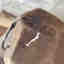 Photos des clients 1 de 5
