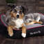 Polyester Pet Bed-1430842059-1430841909