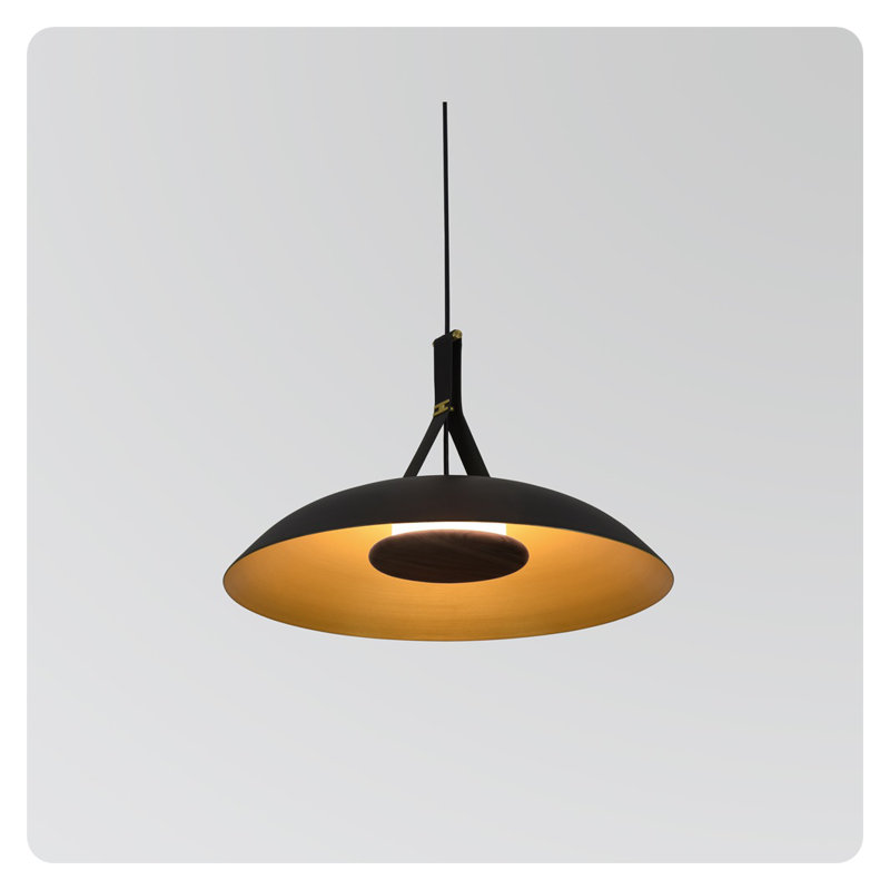 Luminaire suspendu 24 po DEL Volo, 2 700 K, Noir